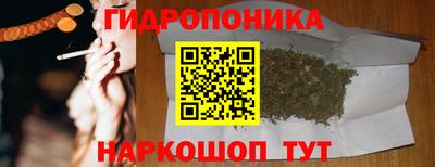 эйфоретик Дубна
