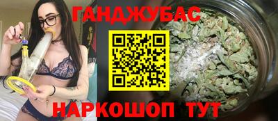 гашик Донской