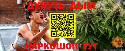 гашик Донской