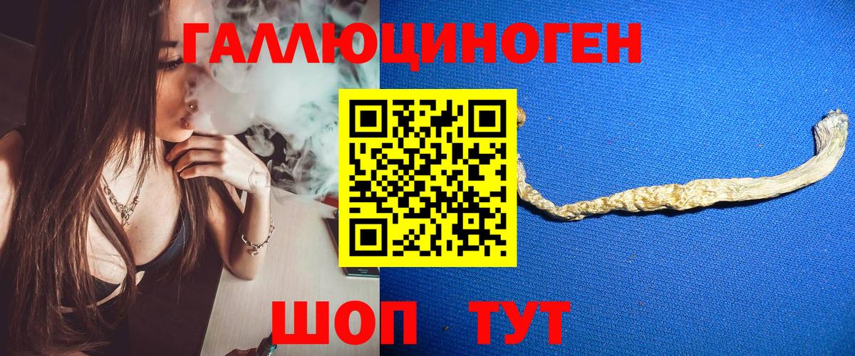 Галлюциногенные грибы Cubensis  Минеральные Воды  Галлюциногенные грибы мицелий 