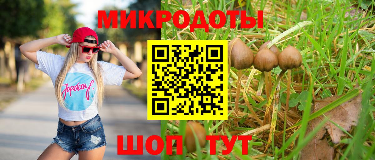 Галлюциногенные грибы мухоморы Минеральные Воды