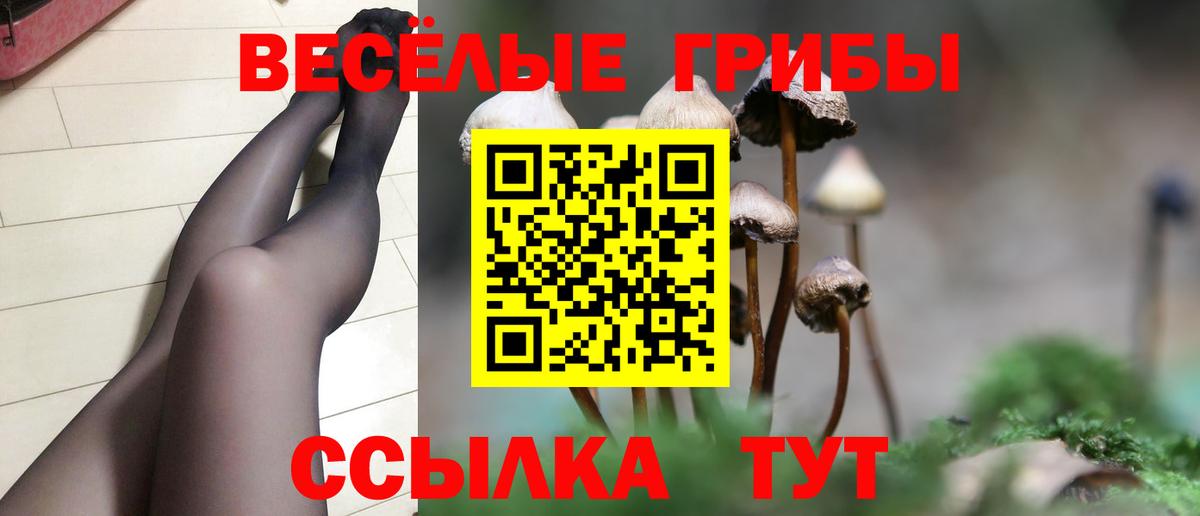 Минеральные Воды  Псилоцибиновые грибы прущие грибы  Вход с VPN  Галлюциногенные грибы Magic Shrooms 